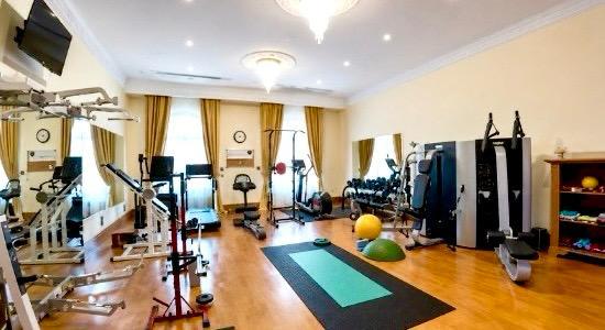 Wellness and Activity